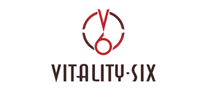 银饰行业排行榜第6名 | VITALITYSIX