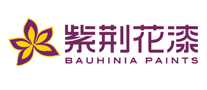 Bauhinia紫荆花漆怎么样