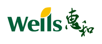 惠和Wells怎么样