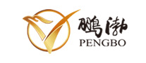 鹏渤PENGBO怎么样