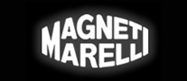 汽车配件行业排行榜第6名 | MagnetiMarelli马瑞利