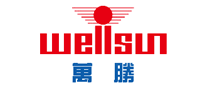 电表行业排行榜第5名 | 万胜WELLSUN