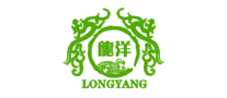 龙洋LONGYANG怎么样