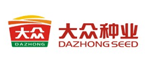 大众DAZHONG怎么样