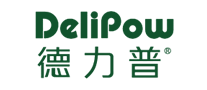 充电电池行业排行榜第7名 | 德力普Delipow