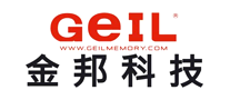 内存条行业排行榜第7名 | 金邦GEIL