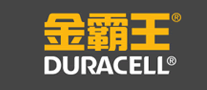 电动车电池行业排行榜第5名 | DURACELL金霸王