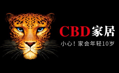 CBD怎么样