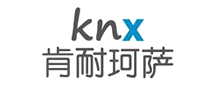 人力资源行业排行榜第10名 | 肯耐珂萨knx