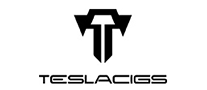 电子烟行业排行榜第6名 | TESLACIGS