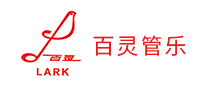 笛子行业排行榜第4名 | 百灵Lark