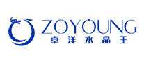 卓洋ZOYOUNG怎么样