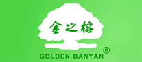 金之榕GOLDENBANYAN怎么样