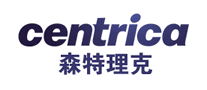 汽车网站行业排行榜第9名 | 森特理克Centrica